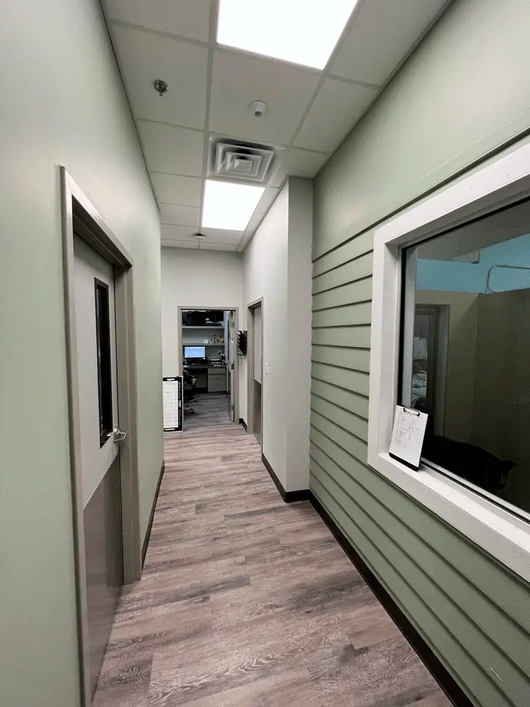 Brookside Animal Hospital — photo 5