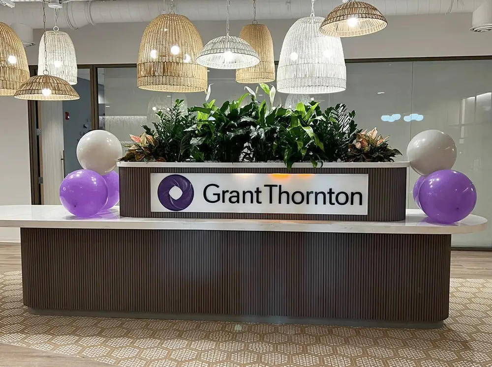 Grant Thornton — Financial Services