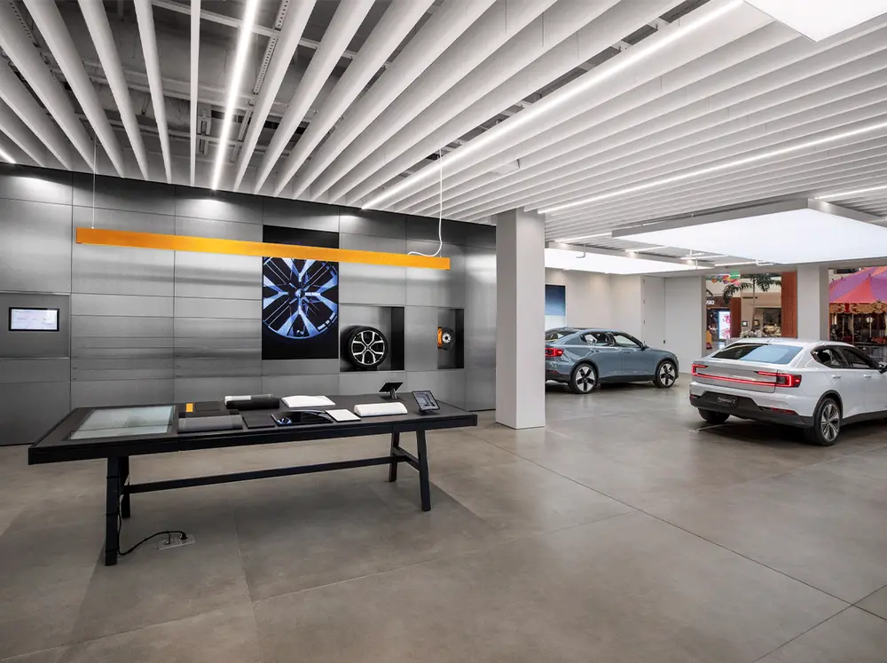 Polestar — photo 4