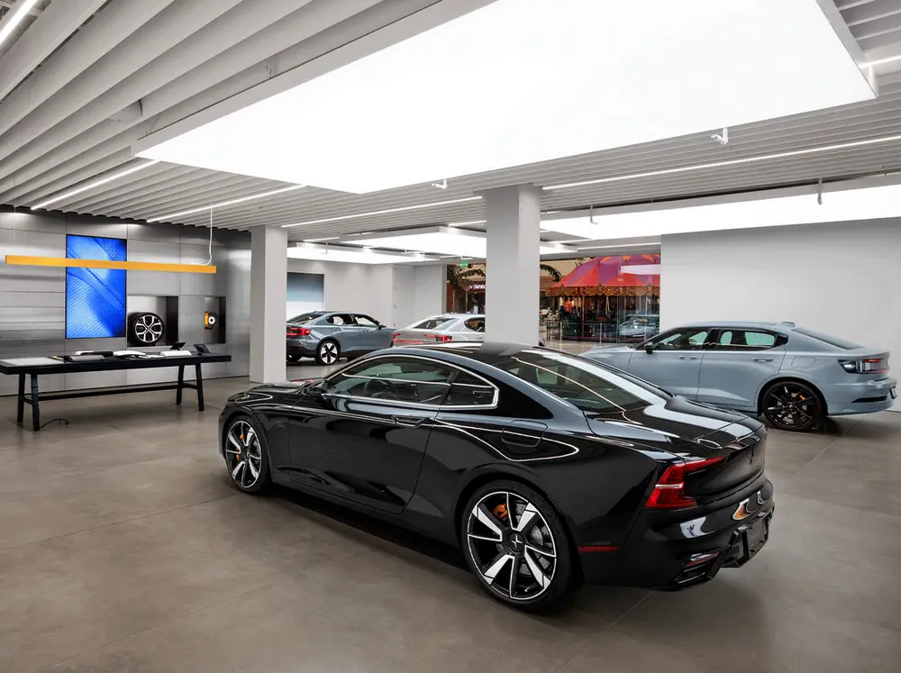 Polestar — photo 5
