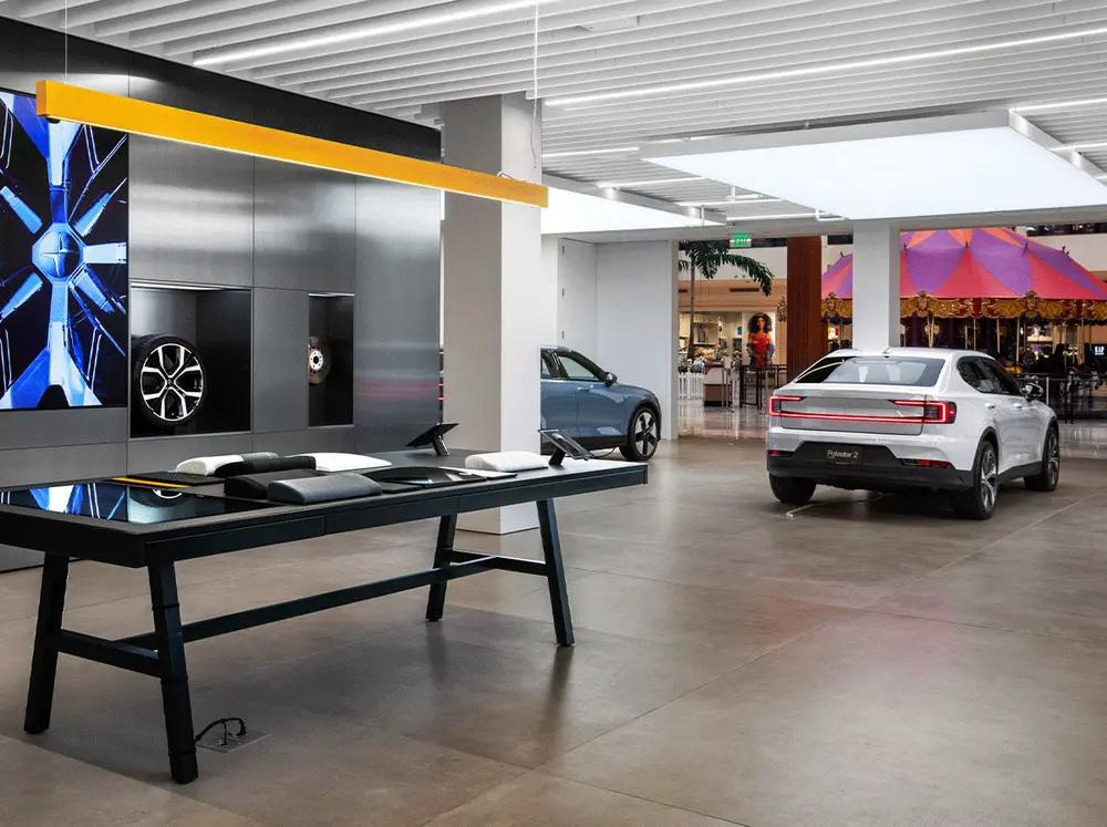 Polestar — photo 6
